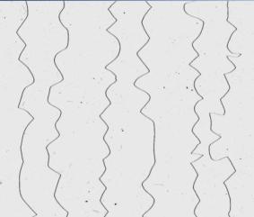 Fibre crimp sample.