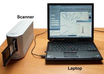 Components of the Flockshape system